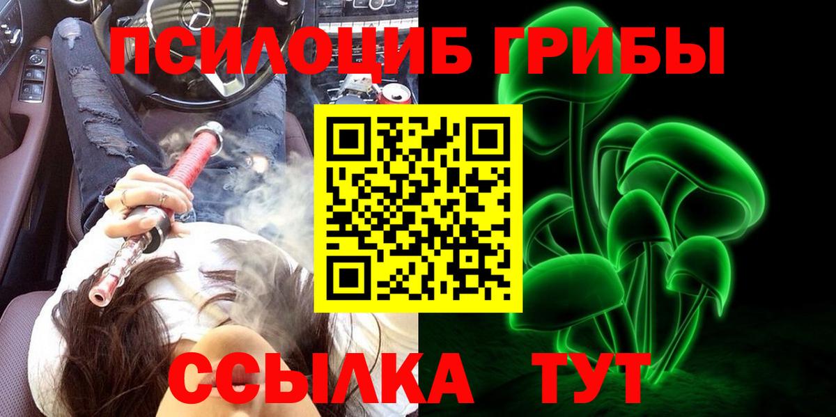 Псилоцибиновые грибы мицелий Михайловск