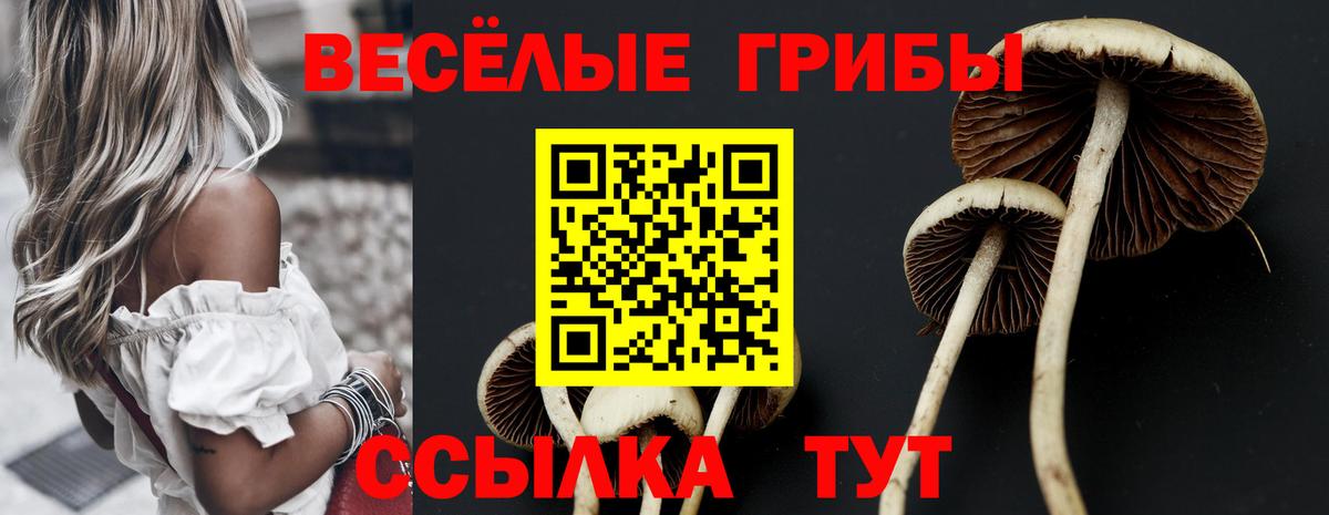 Псилоцибиновые грибы Psilocybine cubensis  Вход с VPN  Михайловск 